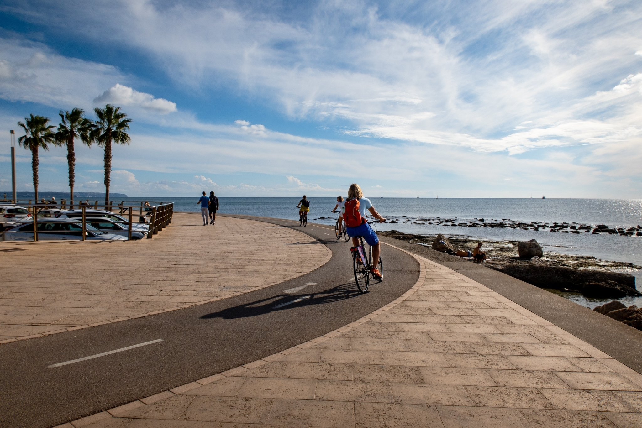 Bici
