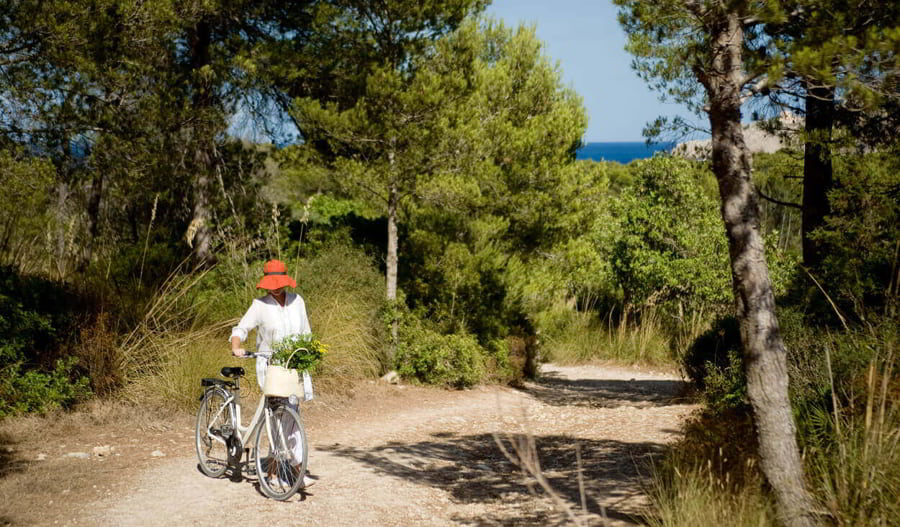 bici-bosque.mar