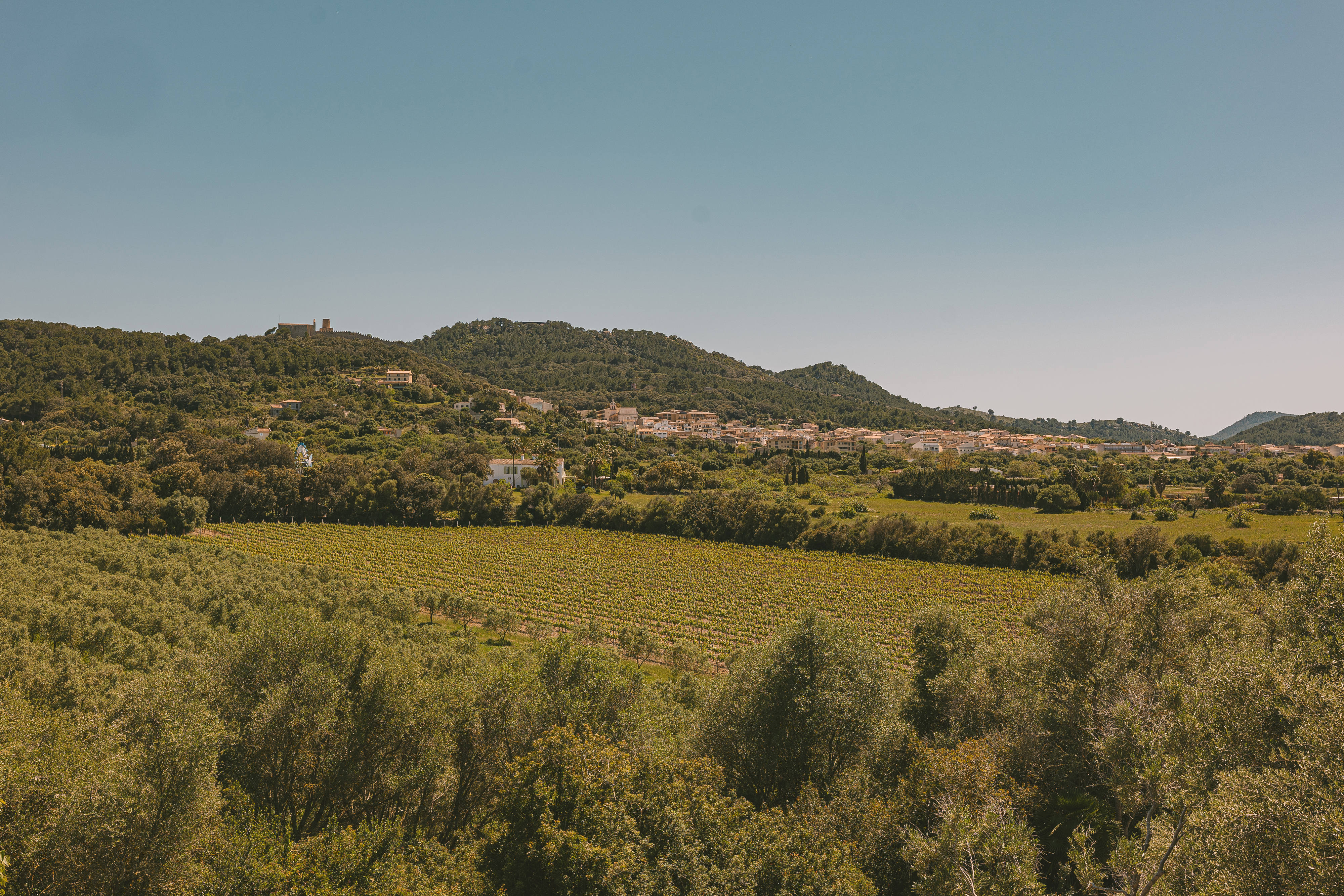 image3